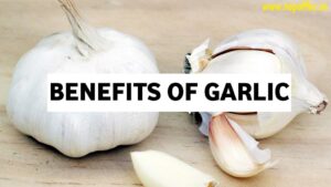 Benefits of eating garlic. What happens by eating garlic | लहसुन खाने के फायदे मर्दों के लिए वरदान माना जाता है लहसुन।, healthadda24, benefits of garlic,garlic image,garlic  photo for YouTube