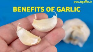 Benefits of eating garlic. What happens by eating garlic | लहसुन खाने के फायदे मर्दों के लिए वरदान माना जाता है लहसुन।, healthadda24, benefits of garlic,garlic image,garlic  photo for YouTube