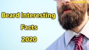 मूछों से संबंधित कुछ दिलचस्प तथ्य जिसे जाना आपको बहुत ज्यादा जरूरी है । Beard Interesting Facts in Hindi 2020 HEALTHADDA24beard facts 2020,beard image